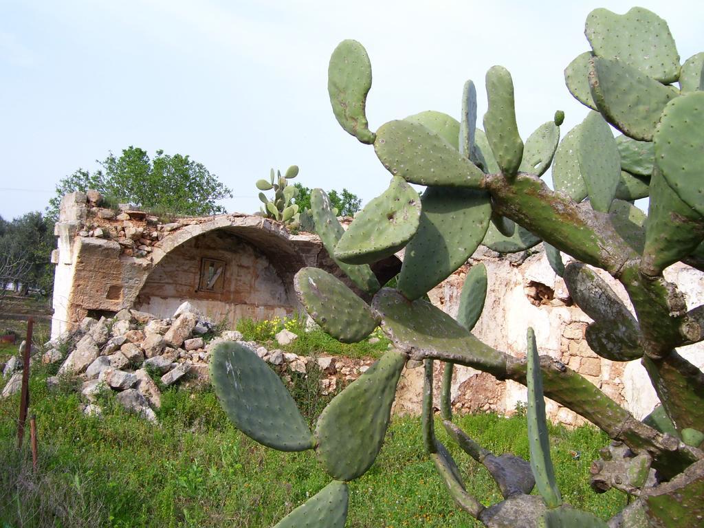 Villa Ghetta Country House Леверано Екстериор снимка